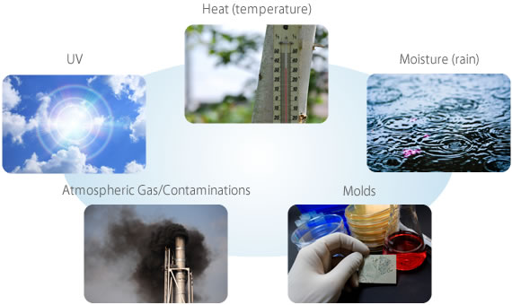 Main Causes of Deterioration