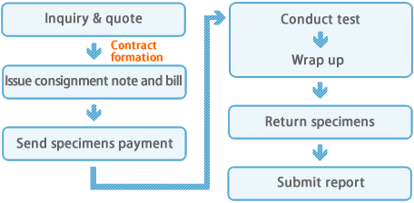 Testing Procedure Flow